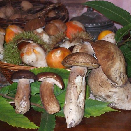 Agriturismo Nonno Tobia 아제롤라 외부 사진