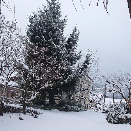 Agriturismo Nonno Tobia 아제롤라 외부 사진