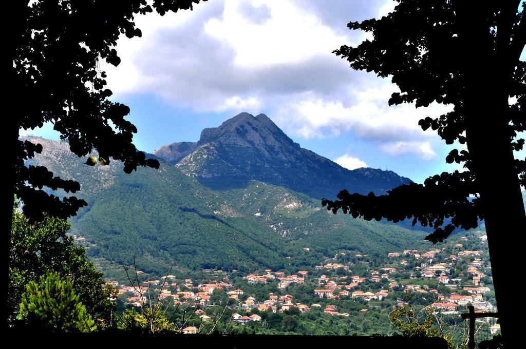 Agriturismo Nonno Tobia 아제롤라 외부 사진