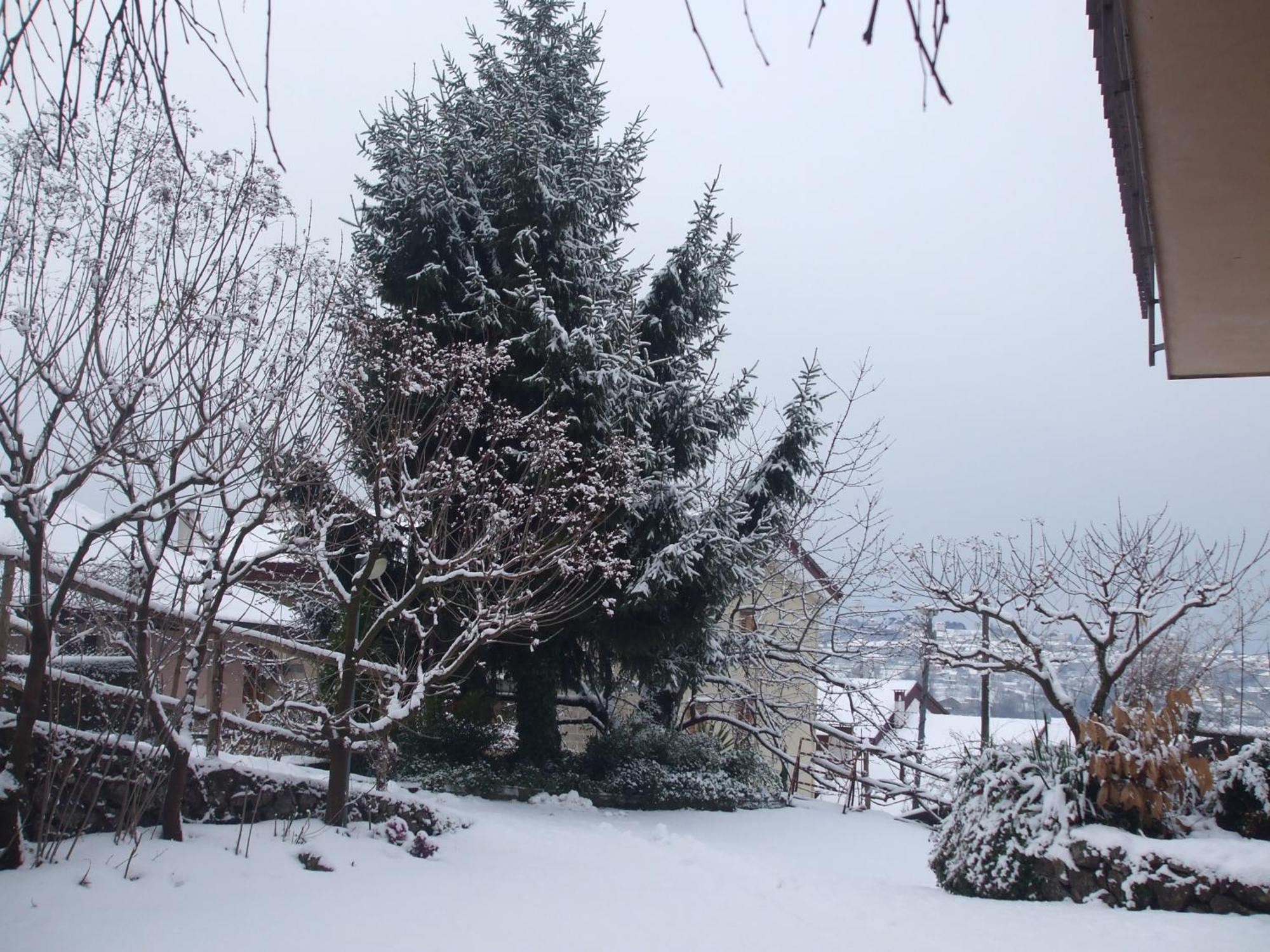 Agriturismo Nonno Tobia 아제롤라 외부 사진