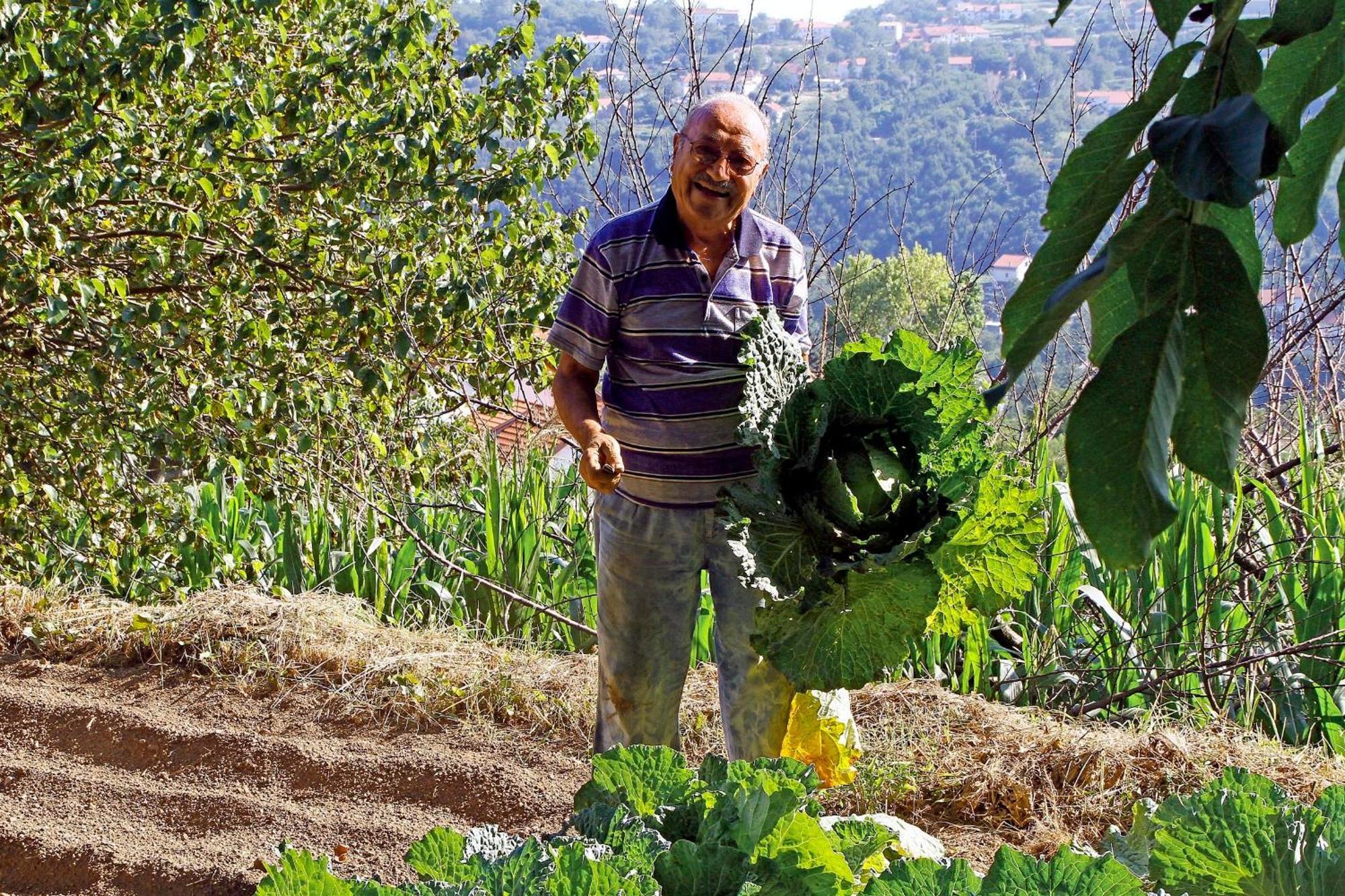 Agriturismo Nonno Tobia 아제롤라 외부 사진